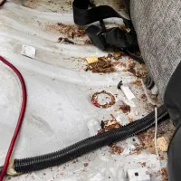 استخدام نیروی کار آقا و خانم در صفرشویی داخل خودرو