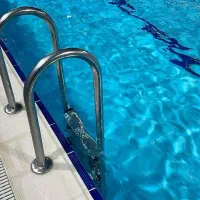 مربی و ناجی رسمی فدراسیون شنا