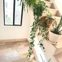 با امنیت بالا و شیک روزانه|اجارهٔ کوتاه‌مدت آپارتمان و سوئیت|بومهن, |دیوار