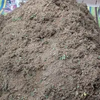 سماق|خوردنی و آشامیدنی|خمینی‌شهر, |دیوار