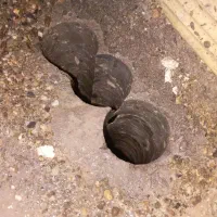 خدمات گرد بری وبرش|خدمات پیشه و مهارت|بیجار, |دیوار