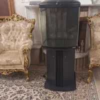 اکواریوم  شرکتی  ماهیران