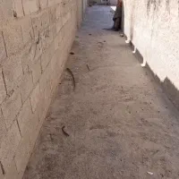 خانه اجاره ای درمحمدی نزدیک داروخانه بلوچ زهی|اجارهٔ خانه و ویلا|سراوان, |دیوار