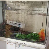 اکواریوم AQUA با تمام لوازم کامل
