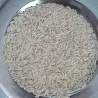 برنج اعلا هاشمی گیلان|خوردنی و آشامیدنی|کرج, بنیاد|دیوار