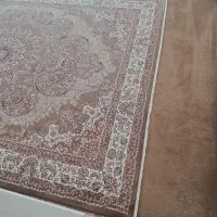 قالی کرمی و گردویی|فرش|سرپل ذهاب, |دیوار