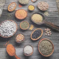پرده نو  قالیچه و فرش اشپزخونه