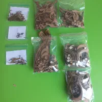 تابلو و اشعار کالیگرافی