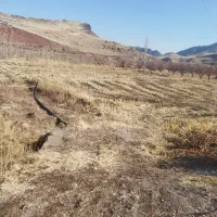 زمین-کشاورزی