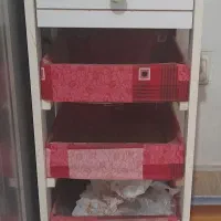 سبد سیب زمینی پیاز