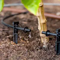 اجرای آبیاری قطره ای و تاسیسات استخر|خدمات باغبانی و درختکاری|ورامین, قويينک زهری|دیوار