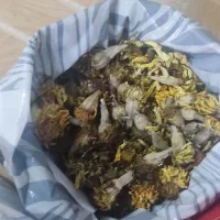 دانه گل|خدمات باغبانی و درختکاری|برازجان, |دیوار