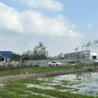 هزار-متری-سندار-جنگلی