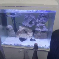 اکواریوم ۶۰ ×۶۰