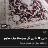 قالی ۱۲ متری نخی|فرش|شیراز, امام حسین|دیوار