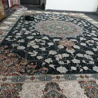قالی ۱۲ متری تمیز