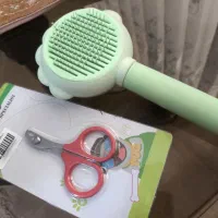 خرگوش لپی|موش و خرگوش|مشهد, نرگس (شهرک غرب)|دیوار