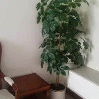 درختچه مصنوعی خارجی ۱۷۰