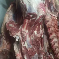 شرکت گوشت بسته بندی