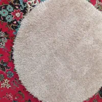 پادری خز دار پر