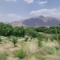 عسل طبیعی|خوردنی و آشامیدنی|قم, انصار‌الحسین|دیوار