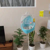 قفس پایه دار ایستاده