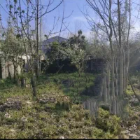 فروش زمین کنار دریا حاجی بکنده
