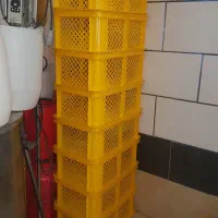 سبد سالم