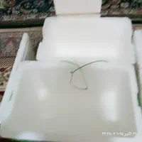 باکس یخدون|ظروف نگهدارنده، پلاستیکی، یک‌بارمصرف|بم, |دیوار