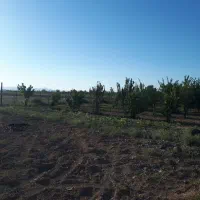 فروش فوری ۱۰۰۰مترباغ فنس کشی احمد آباد|فروش زمین و ملک کلنگی|اراک, |دیوار