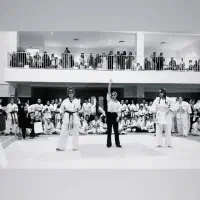 اموزش حرفه ای کاراته  کیوکوشین در هوم جیم