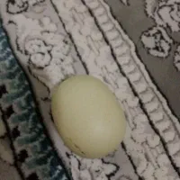 الماس آسیاب