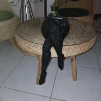 مجسمه نگین کاری|مجسمه، تندیس، ماکت|شاهینشهر, طالقانی|دیوار