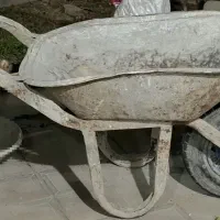 فرقون