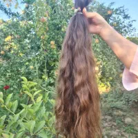 خریدوخریدار موی طبیعی و طلایی، بور،رنگی