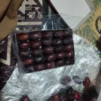 خرمای دوردیف|خوردنی و آشامیدنی|هیدوچ, |دیوار