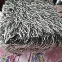 پاف|صندلی و نیمکت|تبریز, |دیوار