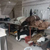 بردست برشکار خانم و آقا