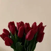 سرویس برای مدرسه میخوام