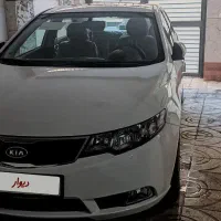 سراتو 97خشک خشک