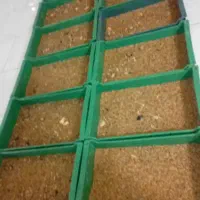 میلورم|خزنده|شهریار, شهرک امیریه|دیوار