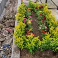 خدمات باغبانی و گلکاری