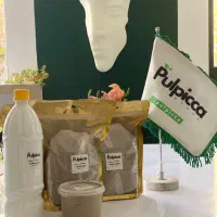 خمیر مجسمه سازی پاپیه ماشه