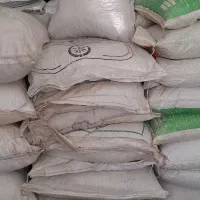 فروش انواع بذر هیبرید و کود شیمیایی اصل وبا ضمانت