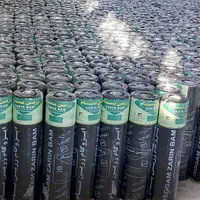 ایزوگام بلوچستان (جمالزهی)