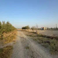 زمین/ دونبش/۴۰۰۰m لوکیشن سبز،تهراندشت،کردان|فروش زمین و ملک کلنگی|کرج, فاز ۲ مهرشهر|دیوار
