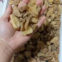 خرید و فروش ثعلب درجه یک با بالاترین قیمت|گل و گیاه طبیعی|تهران, زعفرانیه|دیوار