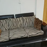یک دست مبل ۷ نفره تمام چرم مرغوب با رو کش تمام چرم
