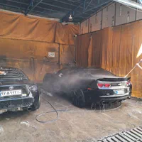 استخدام کارواش