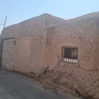 21-قصب-زمین